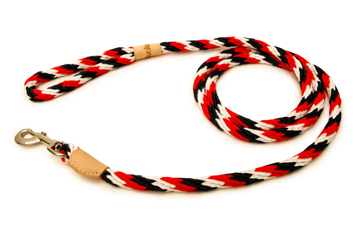 6 ft Braided Rope Dog Leash – Durable Snap Lead, Multiple Colors