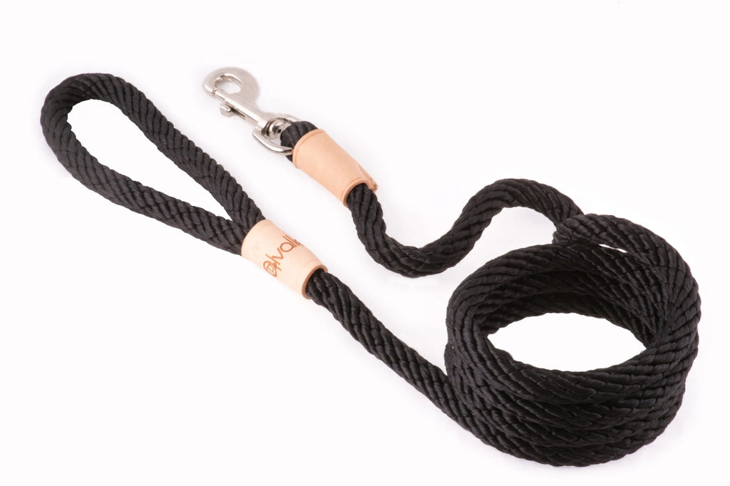 6 ft Braided Rope Dog Leash – Durable Snap Lead, Multiple Colors