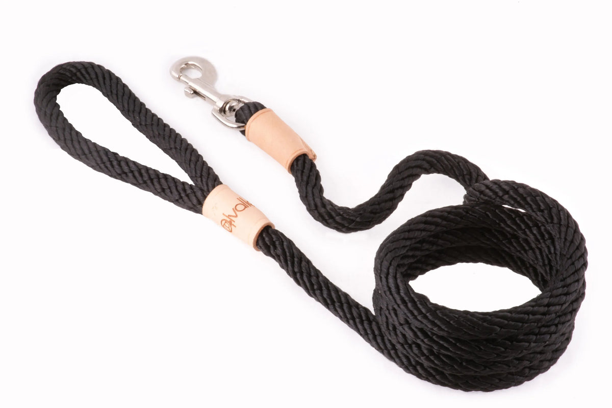 6 ft Braided Rope Dog Leash – Durable Snap Lead, Multiple Colors