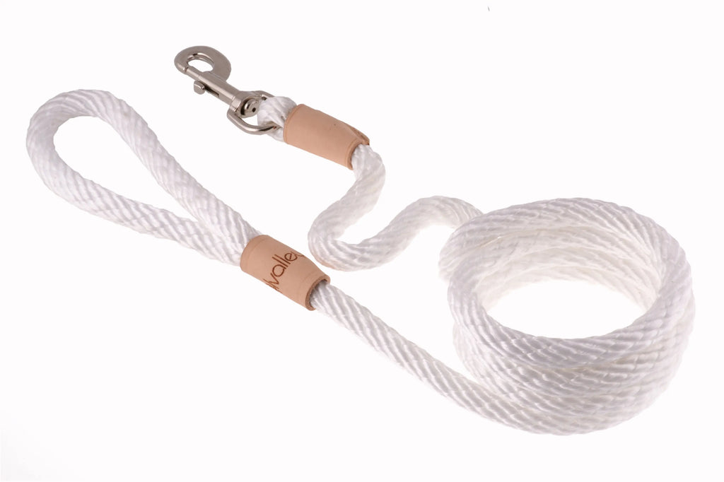 6 ft Braided Rope Dog Leash – Durable Snap Lead, Multiple Colors