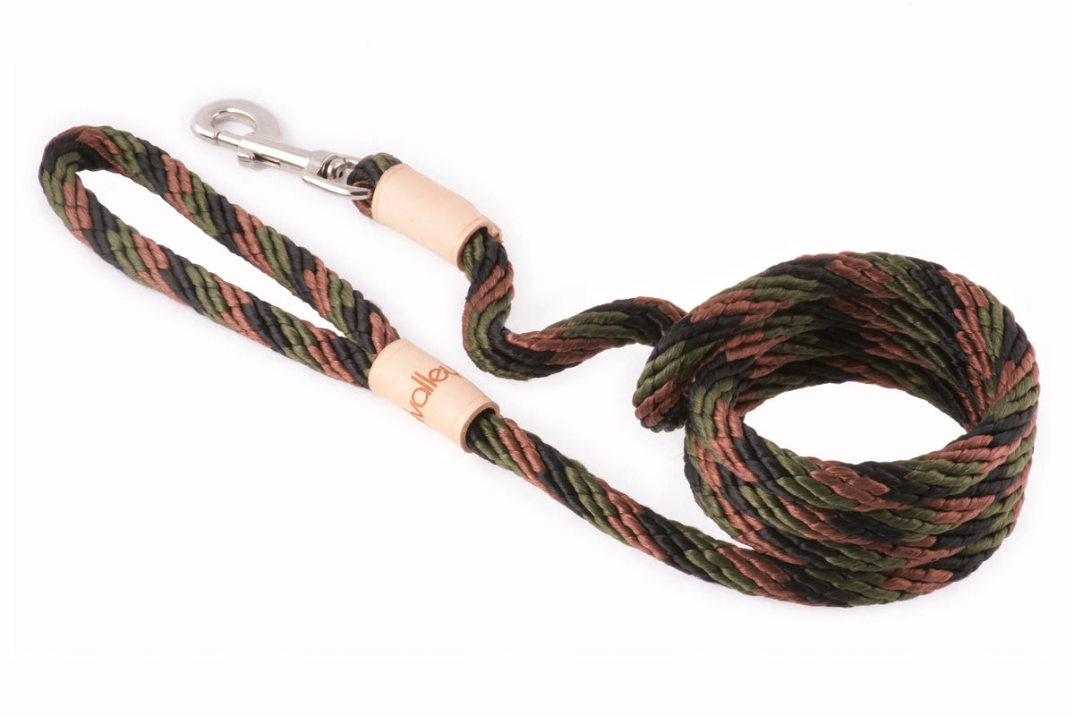 6 ft Braided Rope Dog Leash – Durable Snap Lead, Multiple Colors