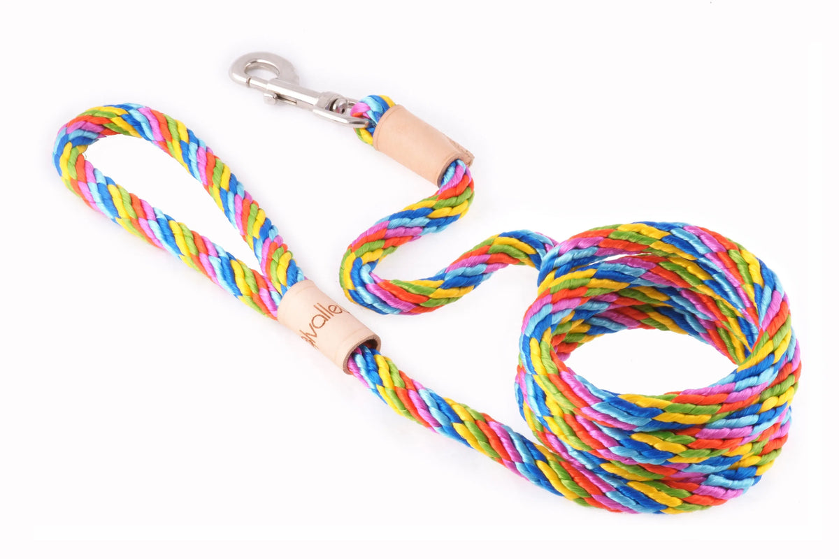 6 ft Braided Rope Dog Leash – Durable Snap Lead, Multiple Colors