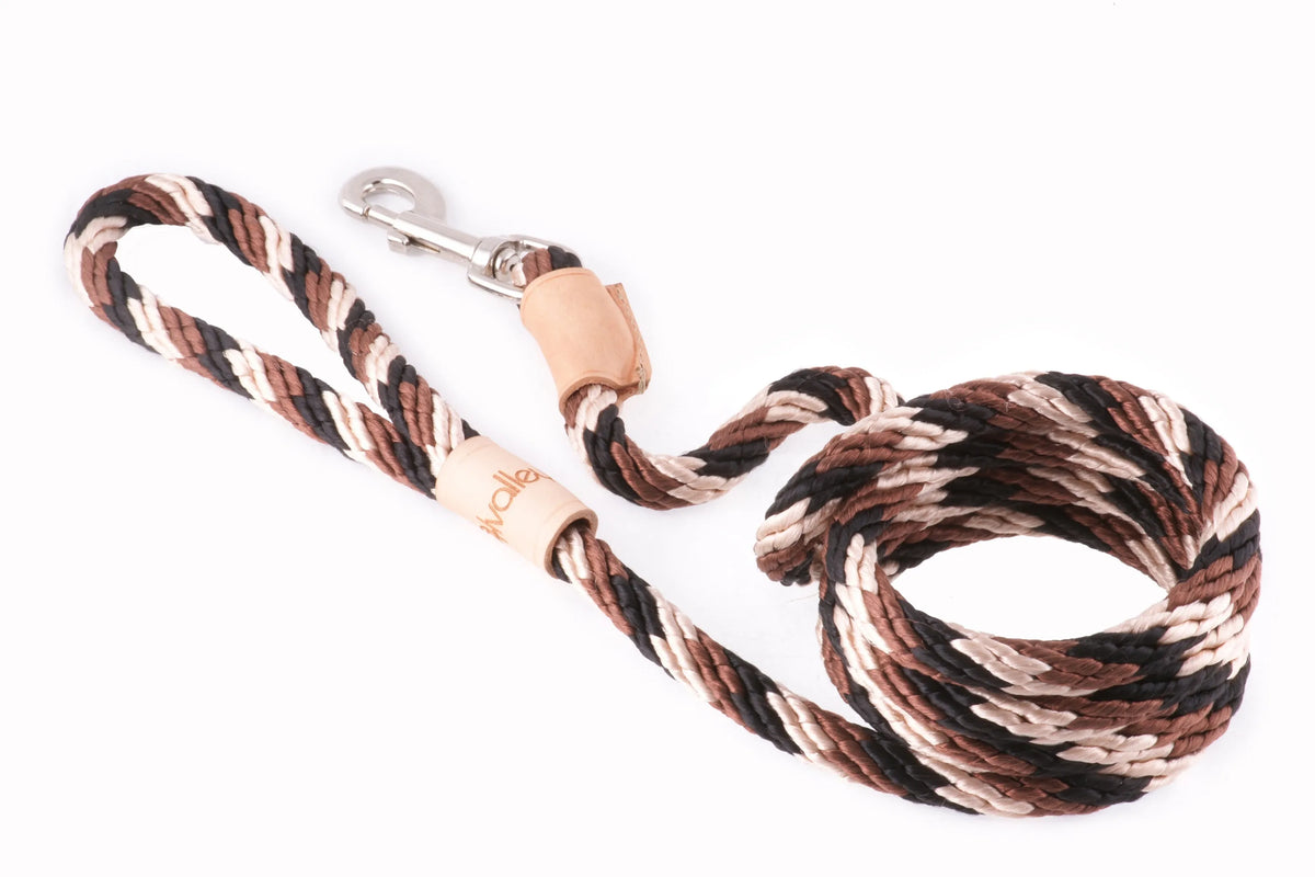 6 ft Braided Rope Dog Leash – Durable Snap Lead, Multiple Colors