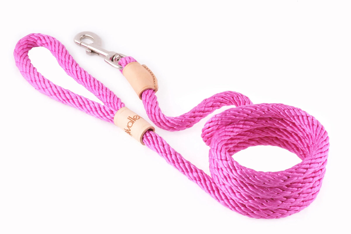 6 ft Braided Rope Dog Leash – Durable Snap Lead, Multiple Colors