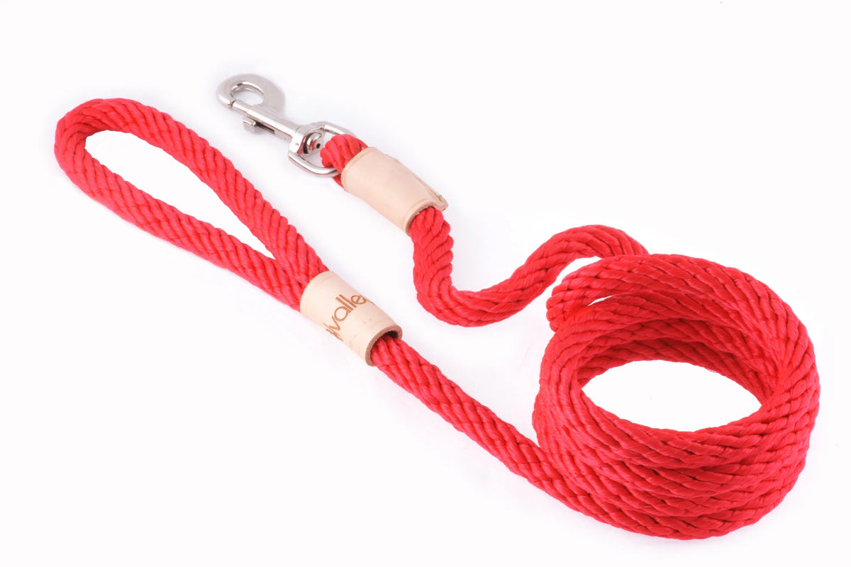 6 ft Braided Rope Dog Leash – Durable Snap Lead, Multiple Colors