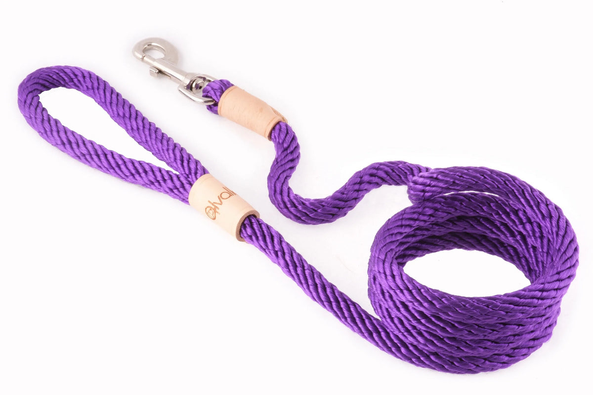 6 ft Braided Rope Dog Leash – Durable Snap Lead, Multiple Colors