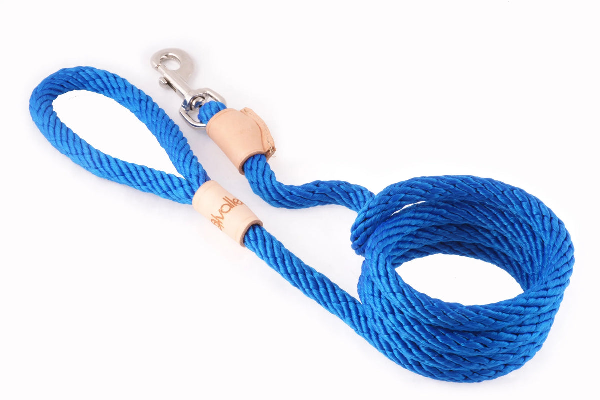 6 ft Braided Rope Dog Leash – Durable Snap Lead, Multiple Colors