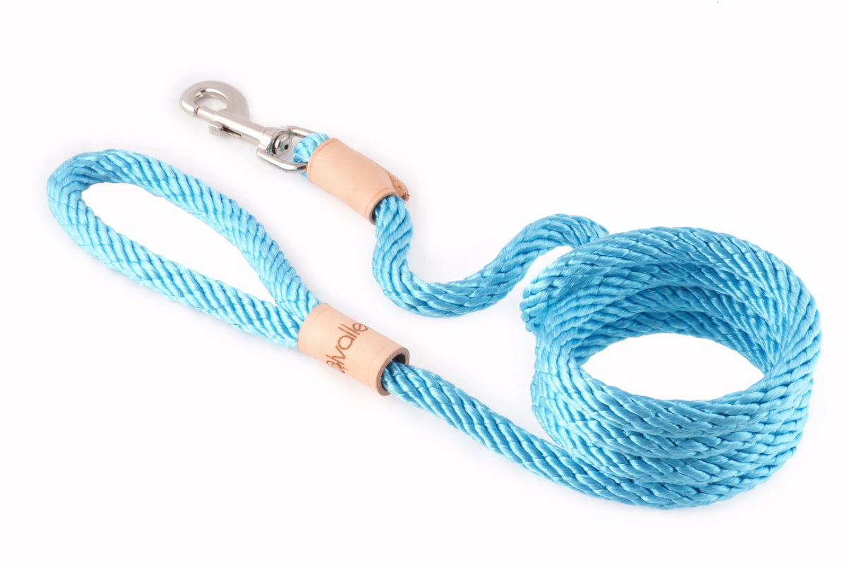 6 ft Braided Rope Dog Leash – Durable Snap Lead, Multiple Colors