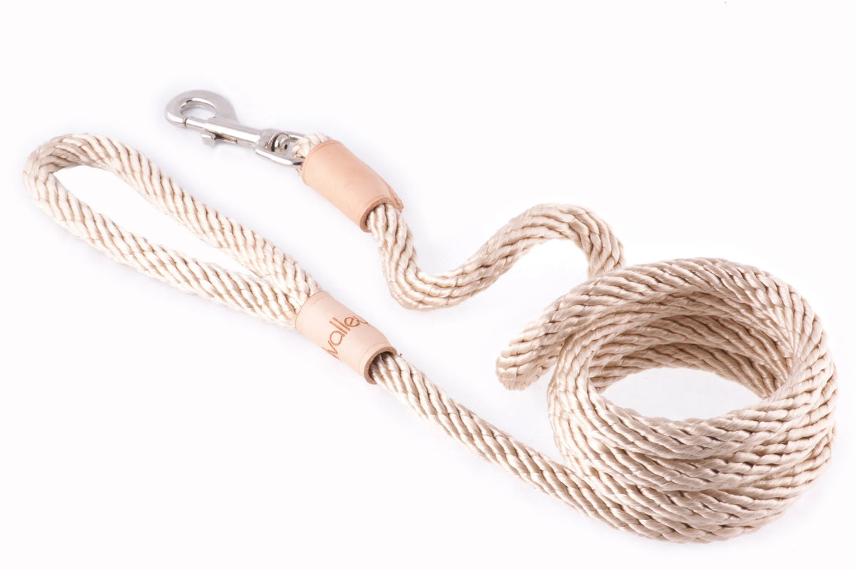 6 ft Braided Rope Dog Leash – Durable Snap Lead, Multiple Colors