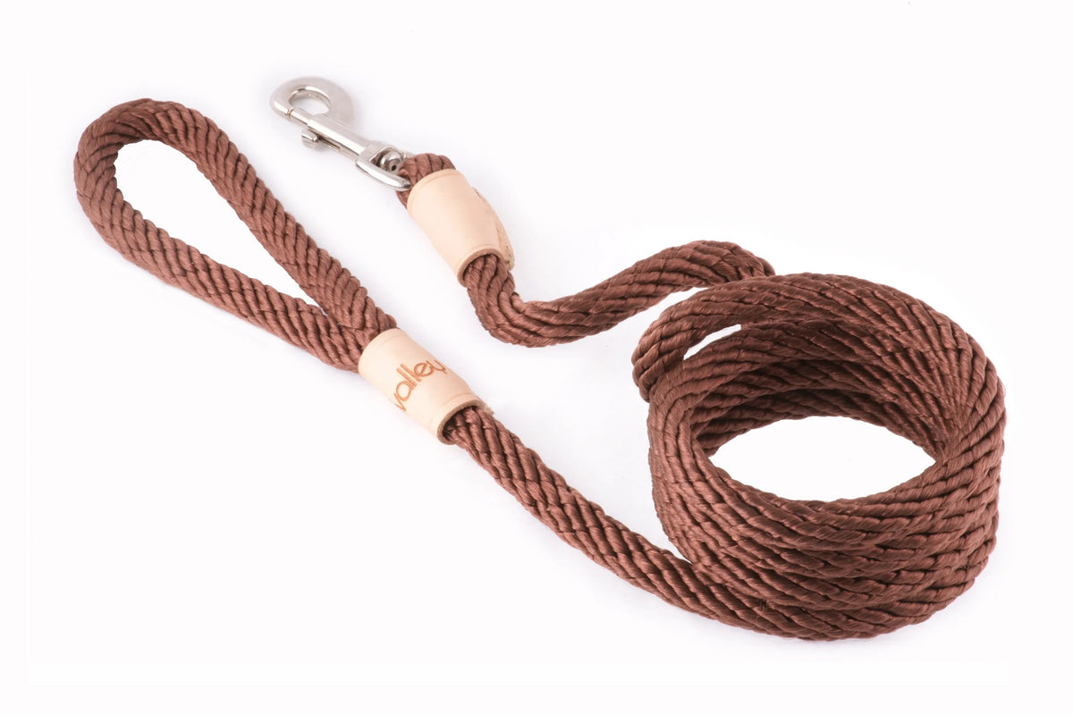 6 ft Braided Rope Dog Leash – Durable Snap Lead, Multiple Colors