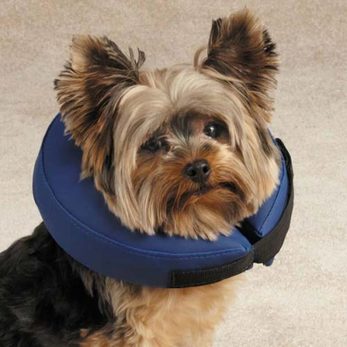 XL Inflatable Dog Recovery Collar – Soft Protective Neck Support