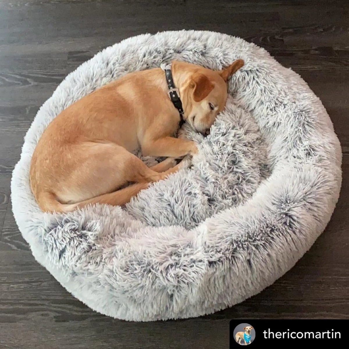 Orthopedic Plush Donut Dog Bed