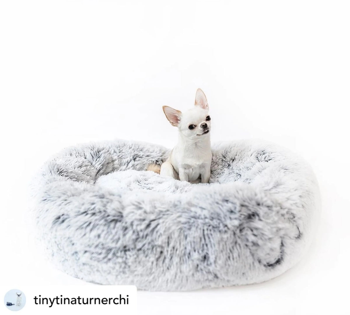 Orthopedic Plush Donut Dog Bed