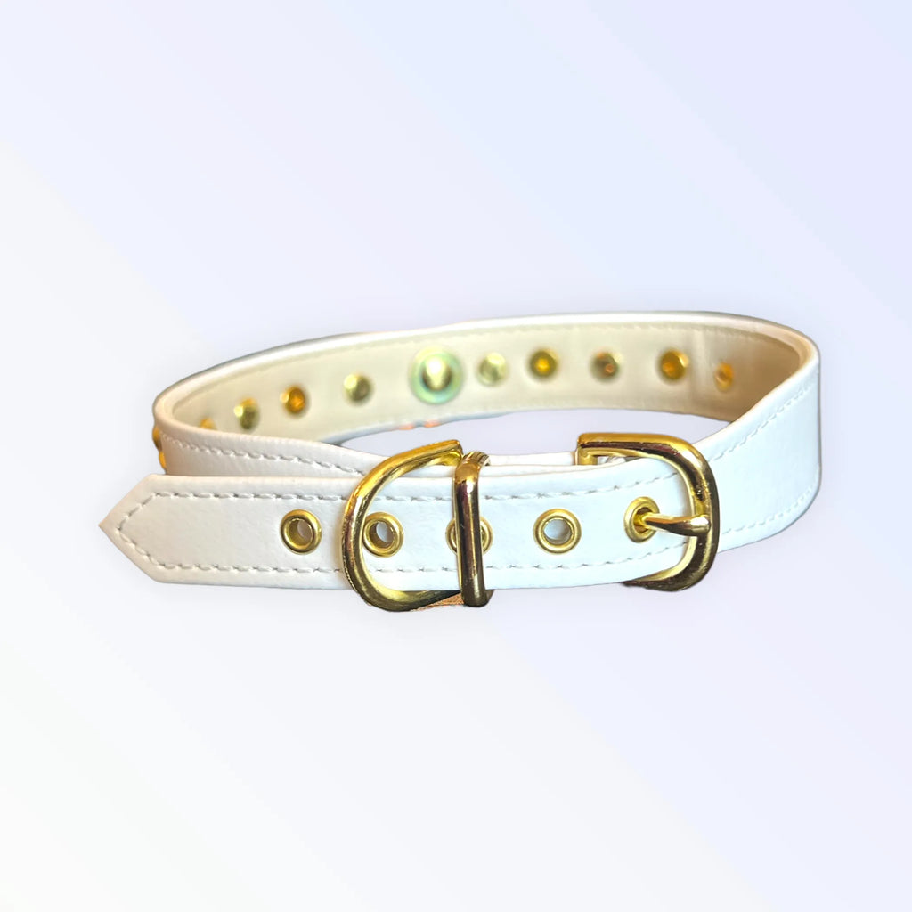 Popstar Studded Vegan Leather Dog Collar – Stylish Rockstar Design