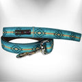Patterned Nylon Dog Leash – Durable 5 ft Pet Lead, Multiple Designs