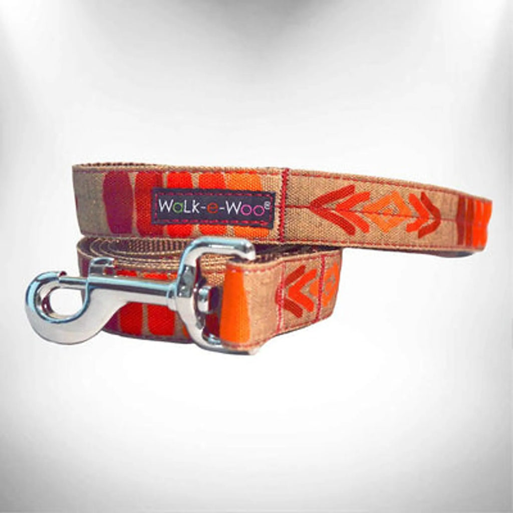 Festora Pets Tribal Dog Leash – Colorful Durable Everyday Lead