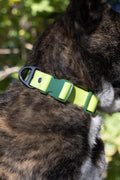 Mossy Pine Waterproof Dog Collar – Outdoor Adventure Style
