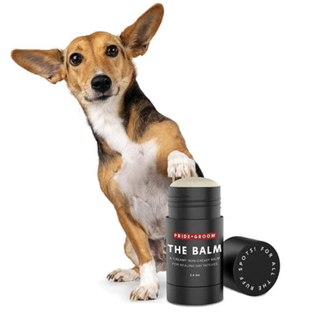 Pet Paw & Nose Balm 2.5 oz – Moisturizing Care for Dry Areas