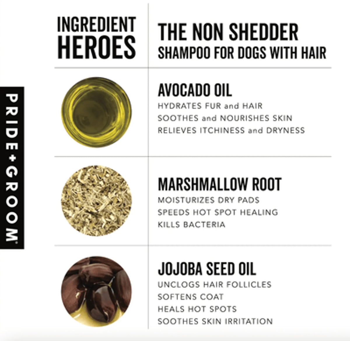 Non-Shedding Dog Shampoo 16 oz – Nourishing Coat Care